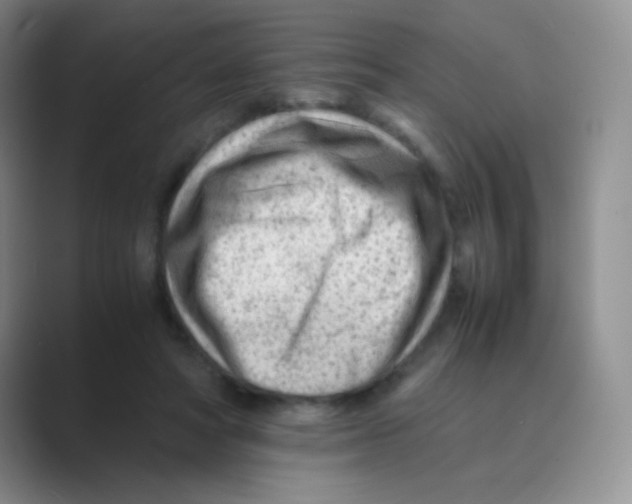 X0000088700402200706282027