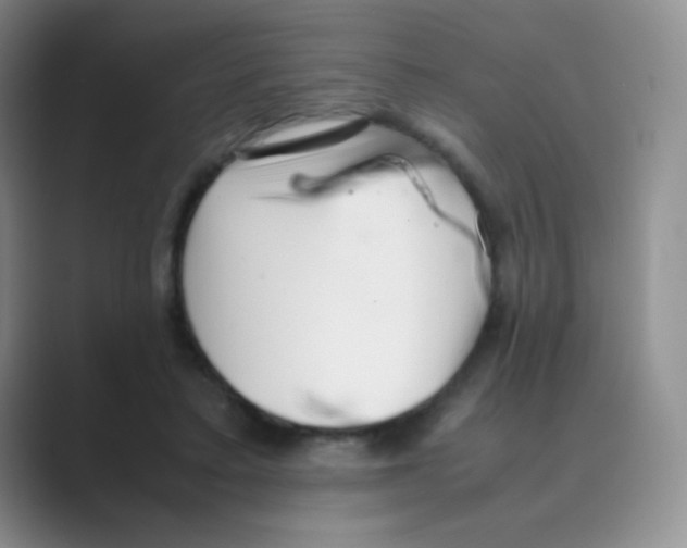 X0000088700403200706282027