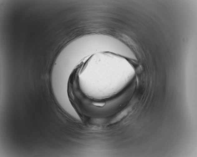 X0000088700405200706282027