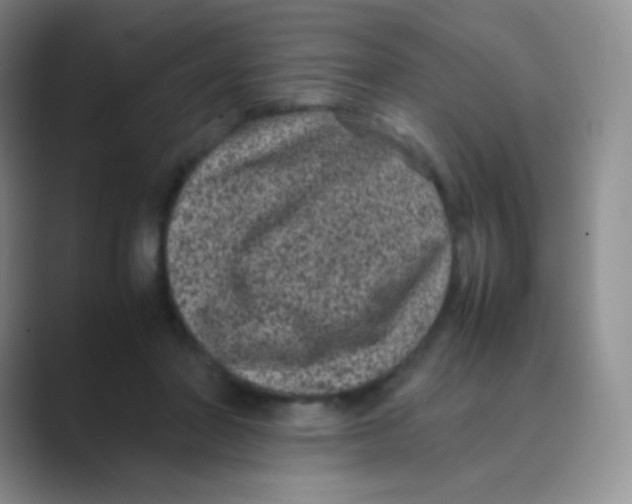 X0000088700406200706282027