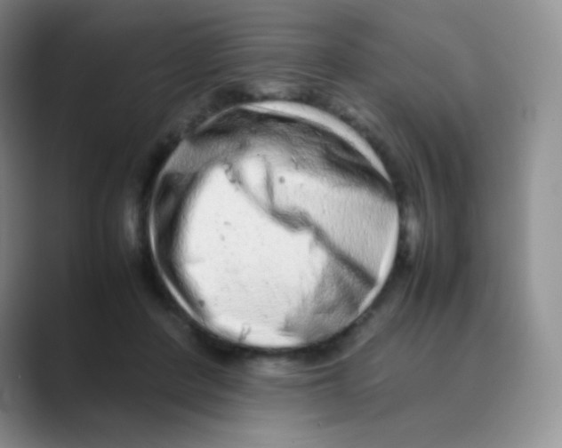 X0000088700408200706282027