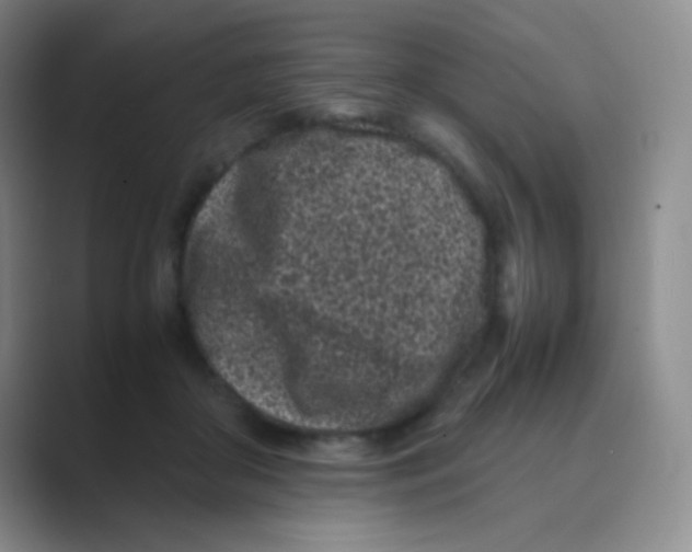 X0000088700410200706282027