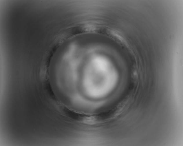 X0000088700411200706282027