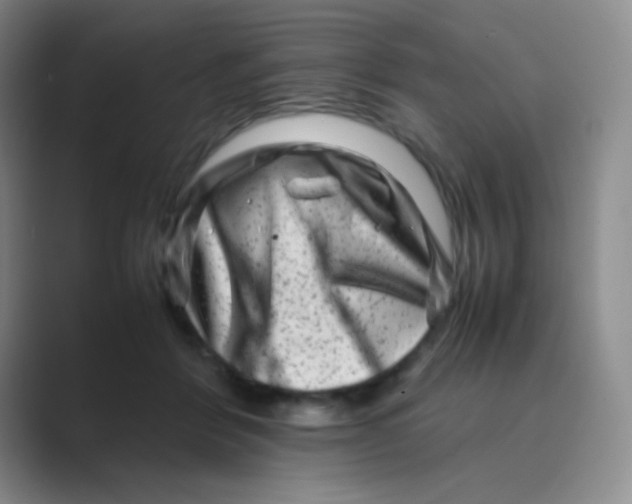 X0000088700412200706282027