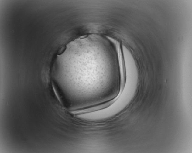 X0000088700413200706282027