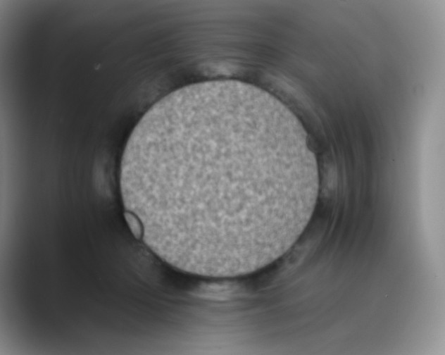 X0000088700414200706282027