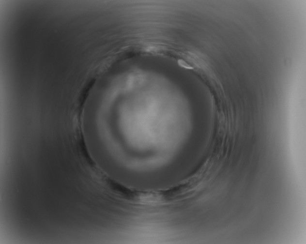 X0000088700415200706282027