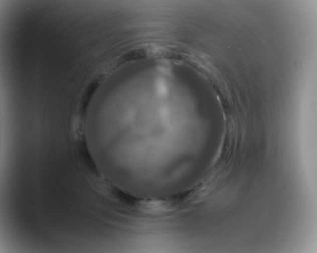 X0000088700419200706282027