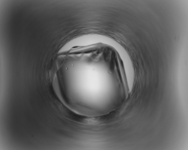 X0000088700425200706282027