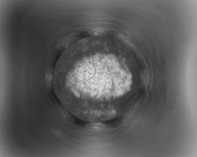 X0000088700427200706282027