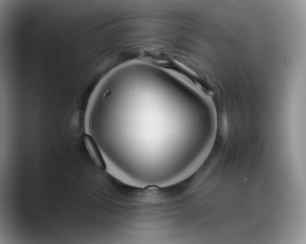 X0000088700428200706282027