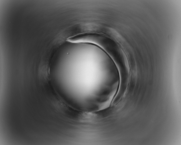 X0000088700429200706282027