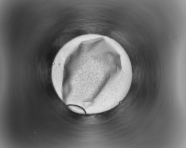 X0000088700430200706282027