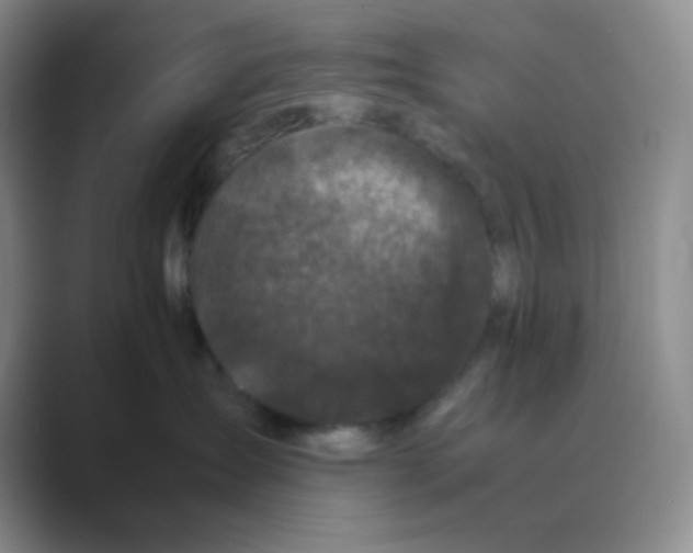 X0000088700431200706282027