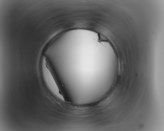 X0000088700435200706282026