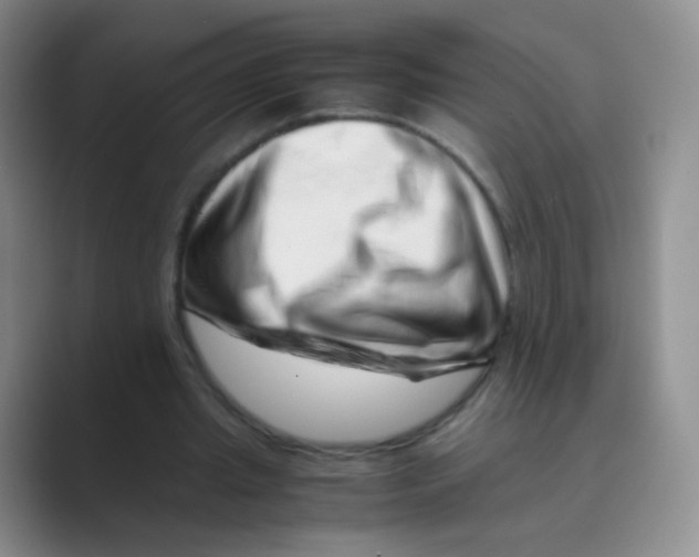 X0000088700437200706282026