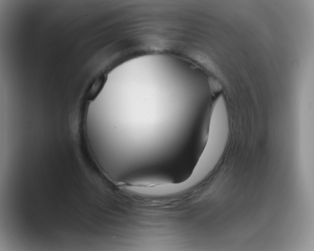 X0000088700440200706282026