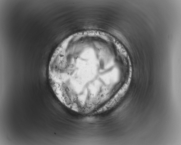 X0000088700441200706282026