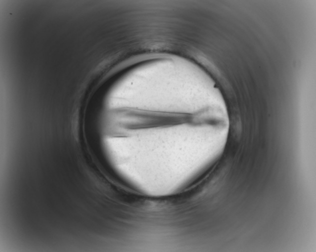 X0000088700442200706282026