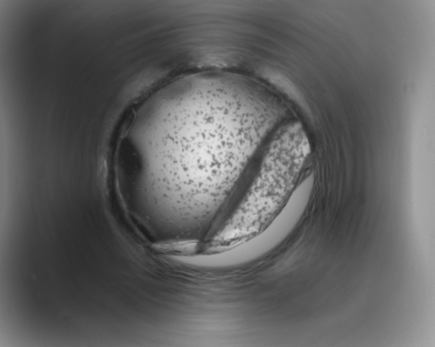 X0000088700444200706282026