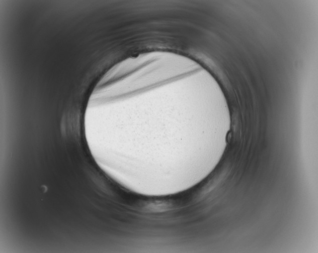 X0000088700445200706282026