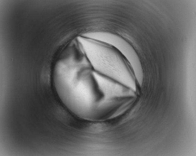 X0000088700446200706282026