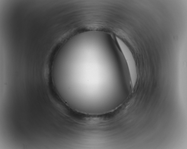 X0000088700448200706282026