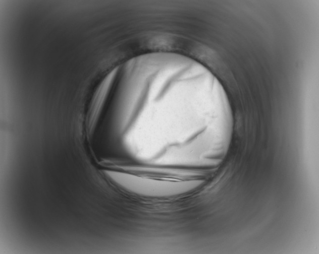 X0000088700449200706282026