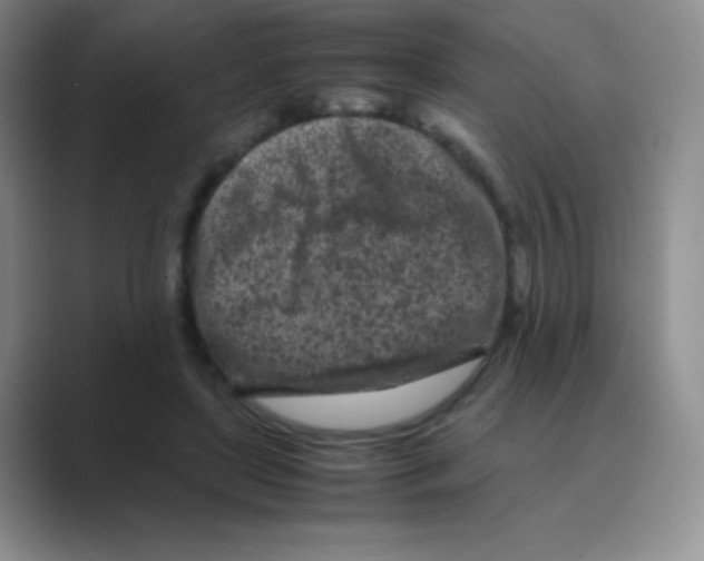 X0000088700451200706282026