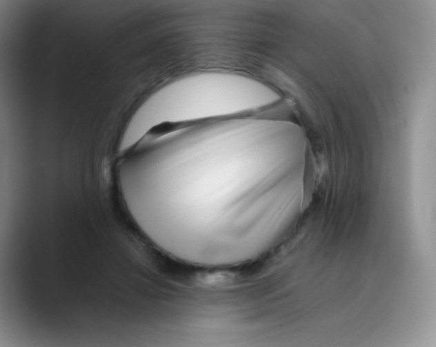 X0000088700452200706282026