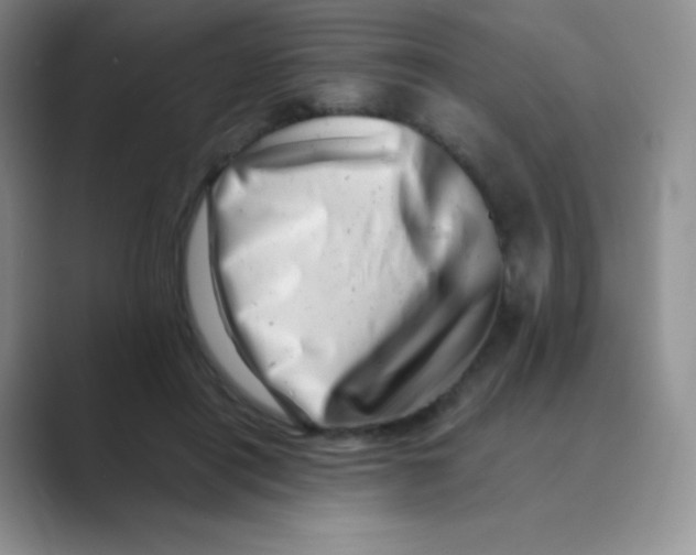 X0000088700454200706282026