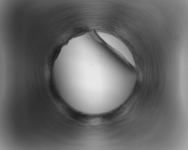 X0000088700456200706282026