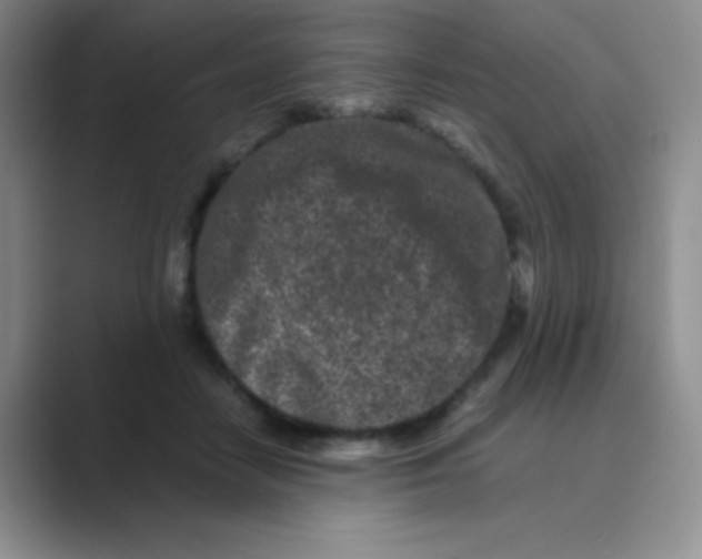 X0000088700458200706282026