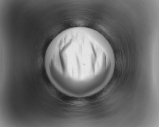 X0000088700459200706282026