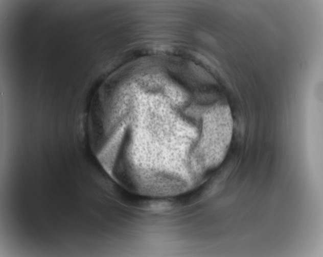 X0000088700462200706282026