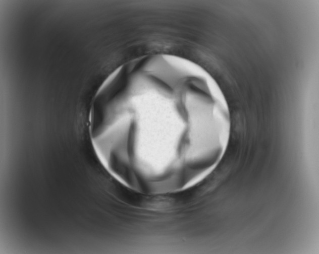 X0000088700463200706282026