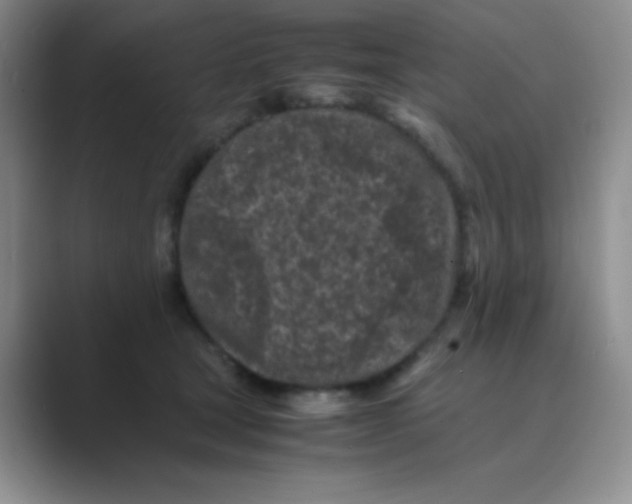 X0000088700465200706282026