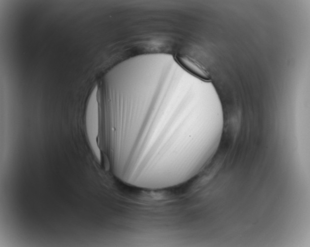 X0000088700469200706282026