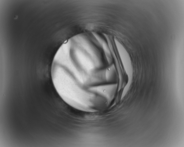 X0000088700470200706282026