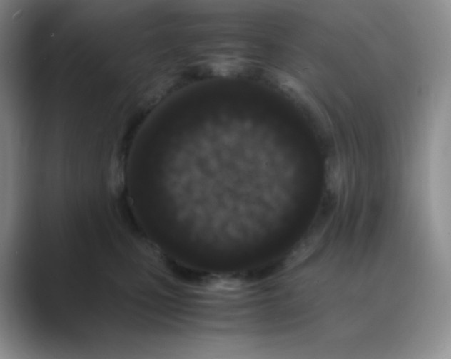 X0000088700471200706282026