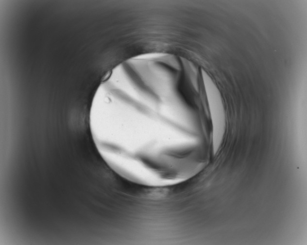 X0000088700474200706282026