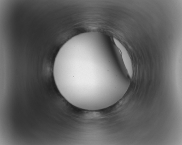 X0000088700476200706282026