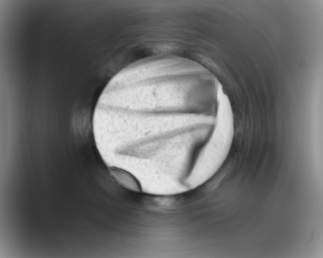 X0000088700478200706282026