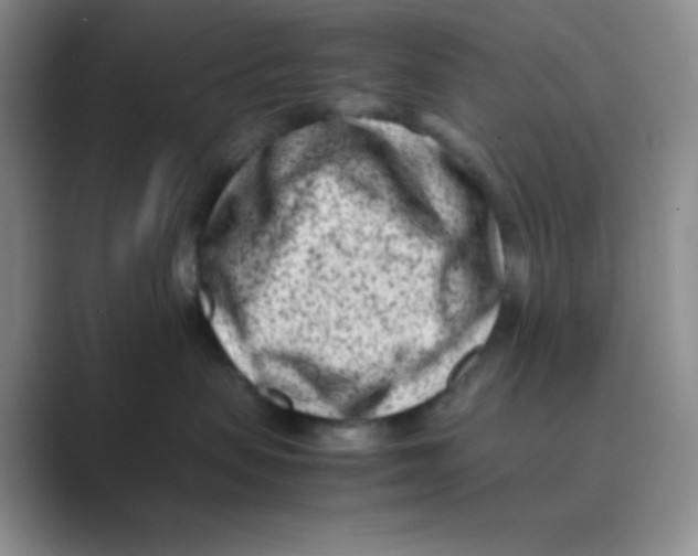 X0000088700479200706282026