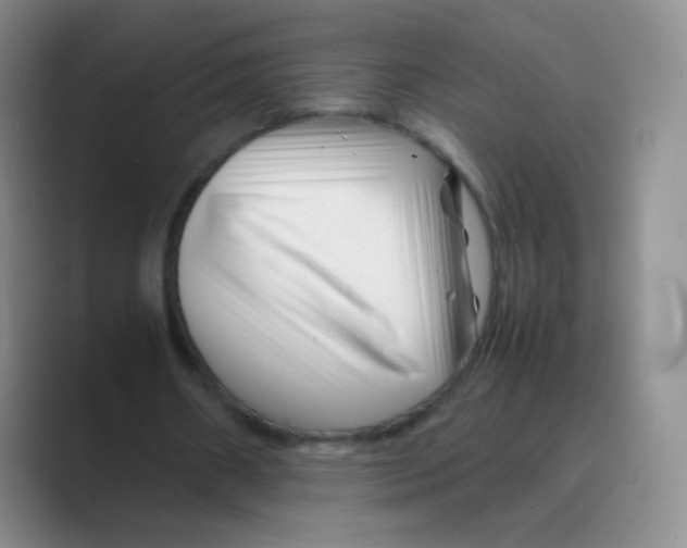 X0000088700482200706282026