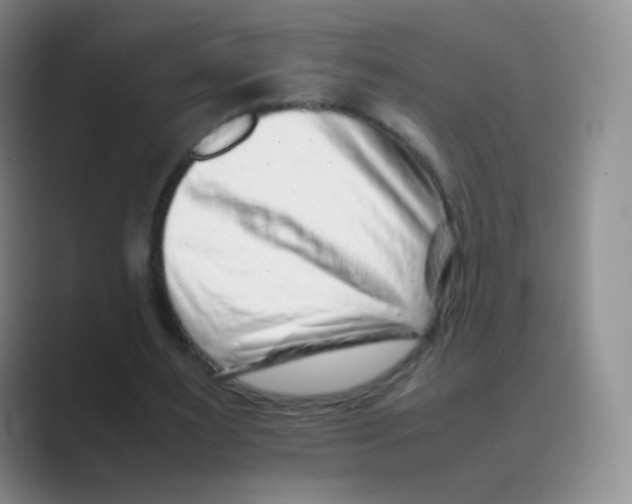 X0000088700483200706282026