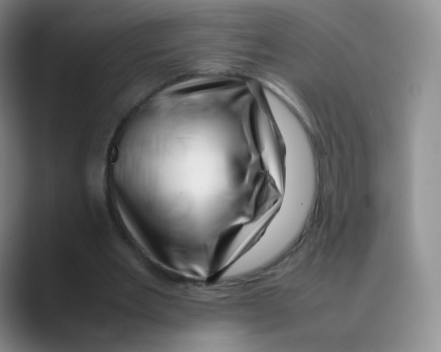 X0000088700485200706282026