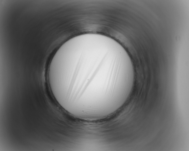 X0000088700486200706282026