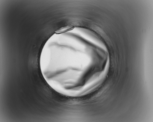 X0000088700489200706282026