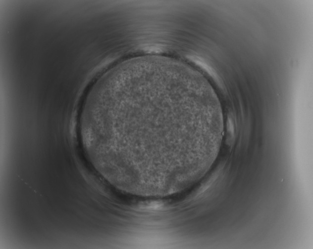 X0000088700492200706282026